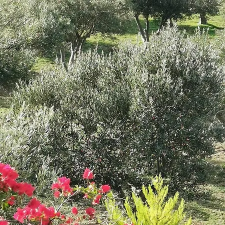 Elysian Dom wakacyjny *